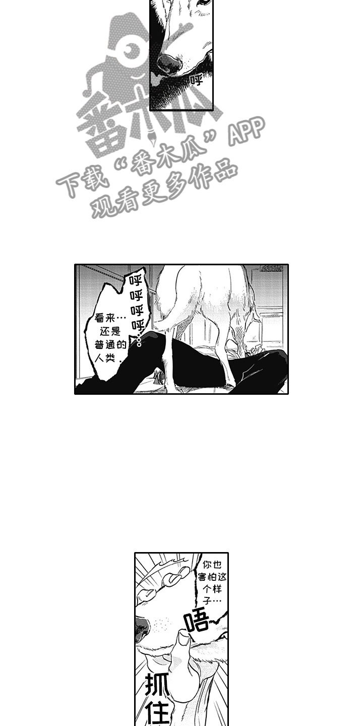 第6章：真面目