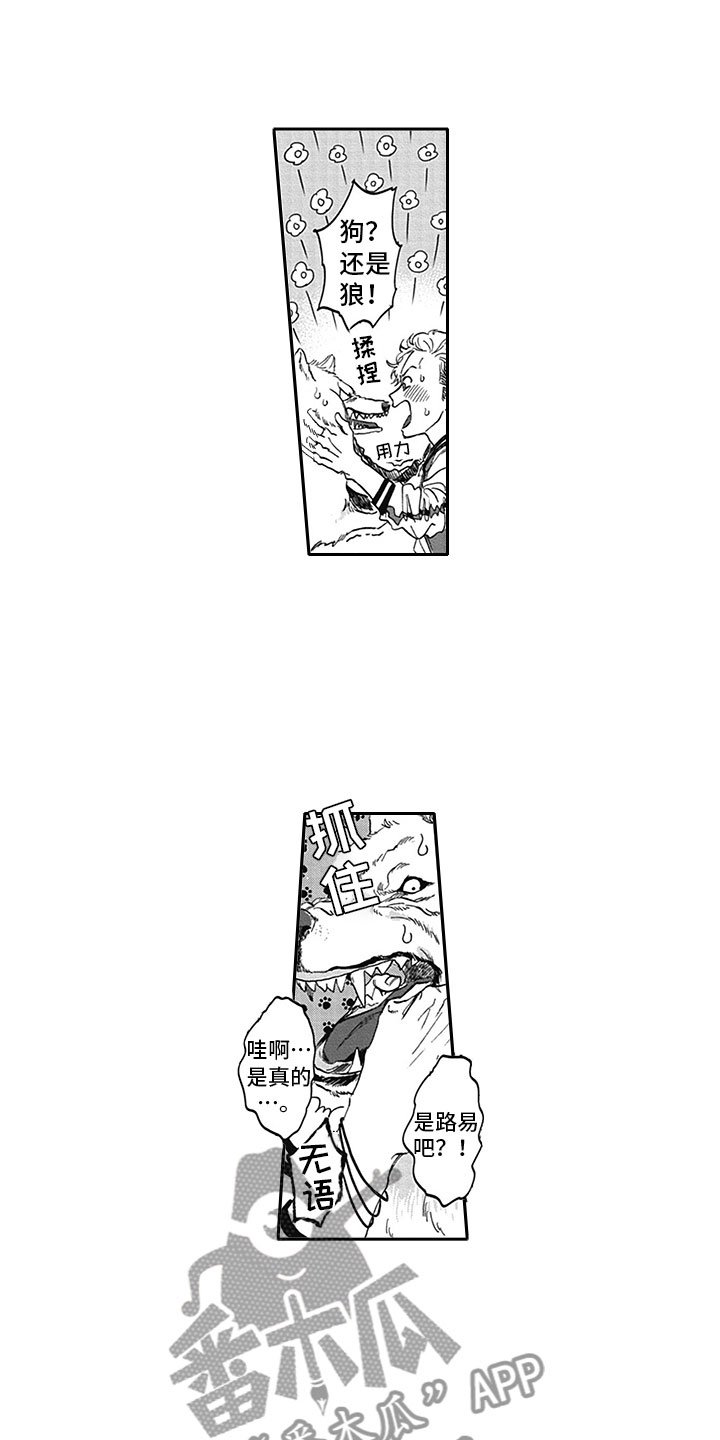 第6章：真面目