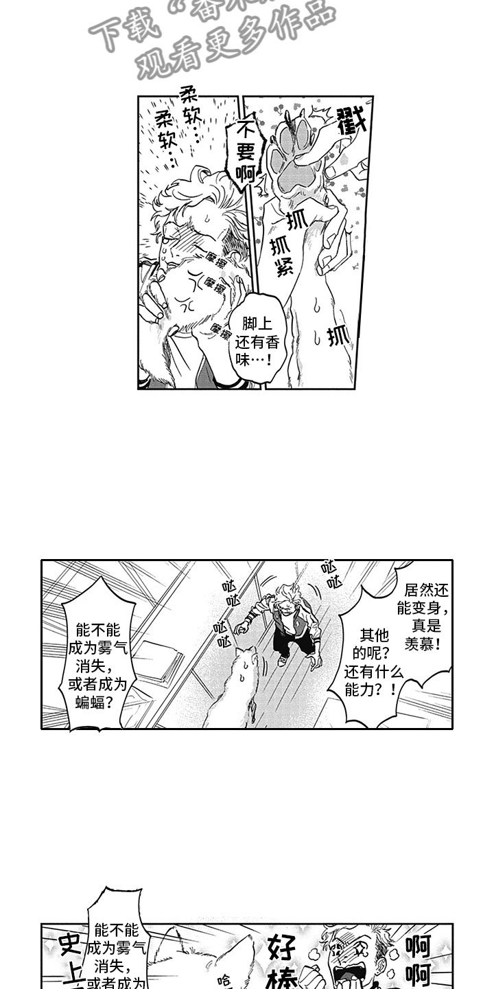 第6章：真面目