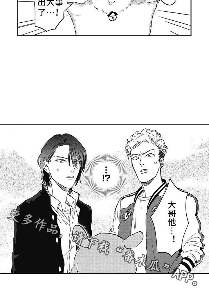 第7章：开心