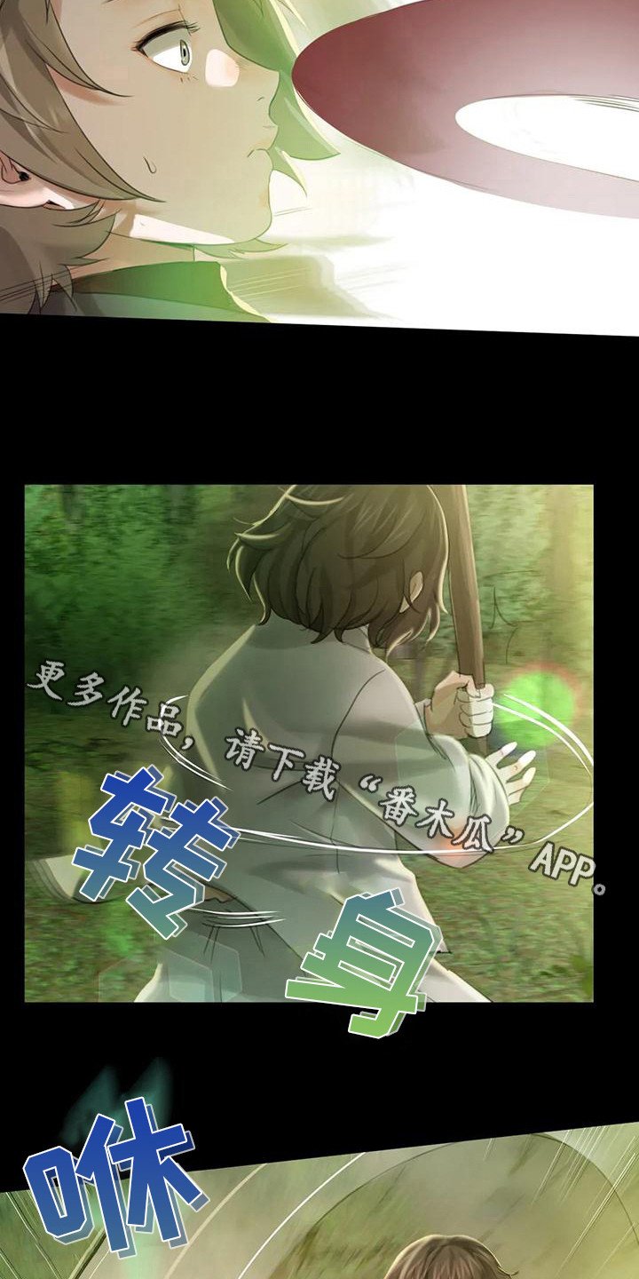 第17章：暴力