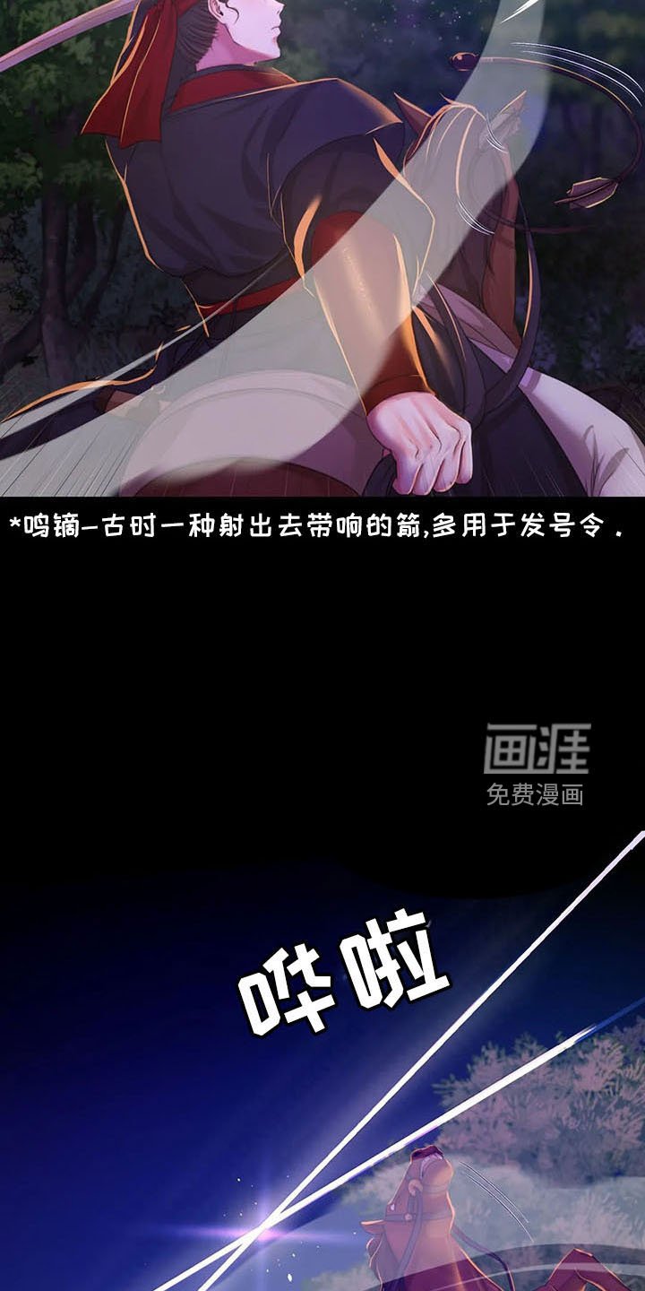 第56章：打斗