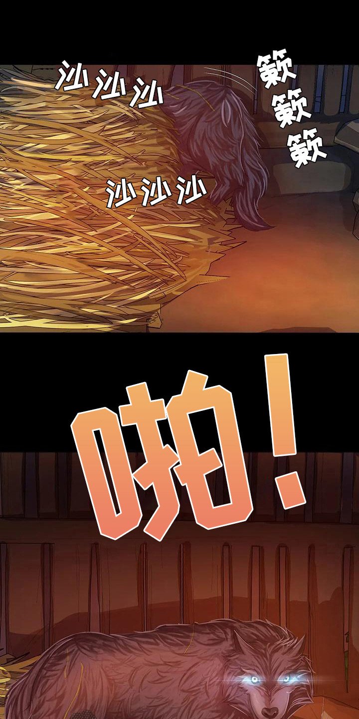 第7章：寻找