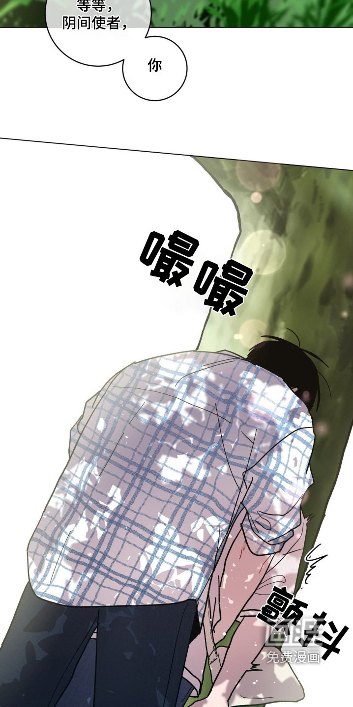 第106章：帮我查一样东西