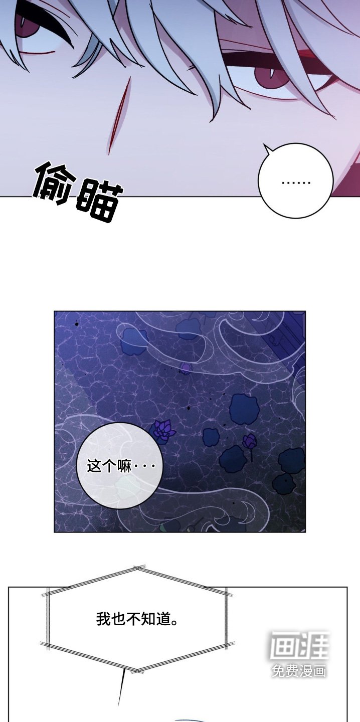 第107章：我不知道