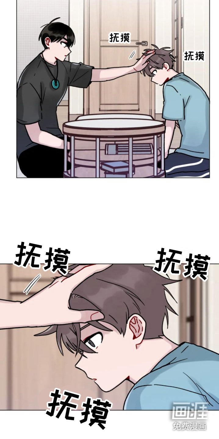 第11章：增加约定