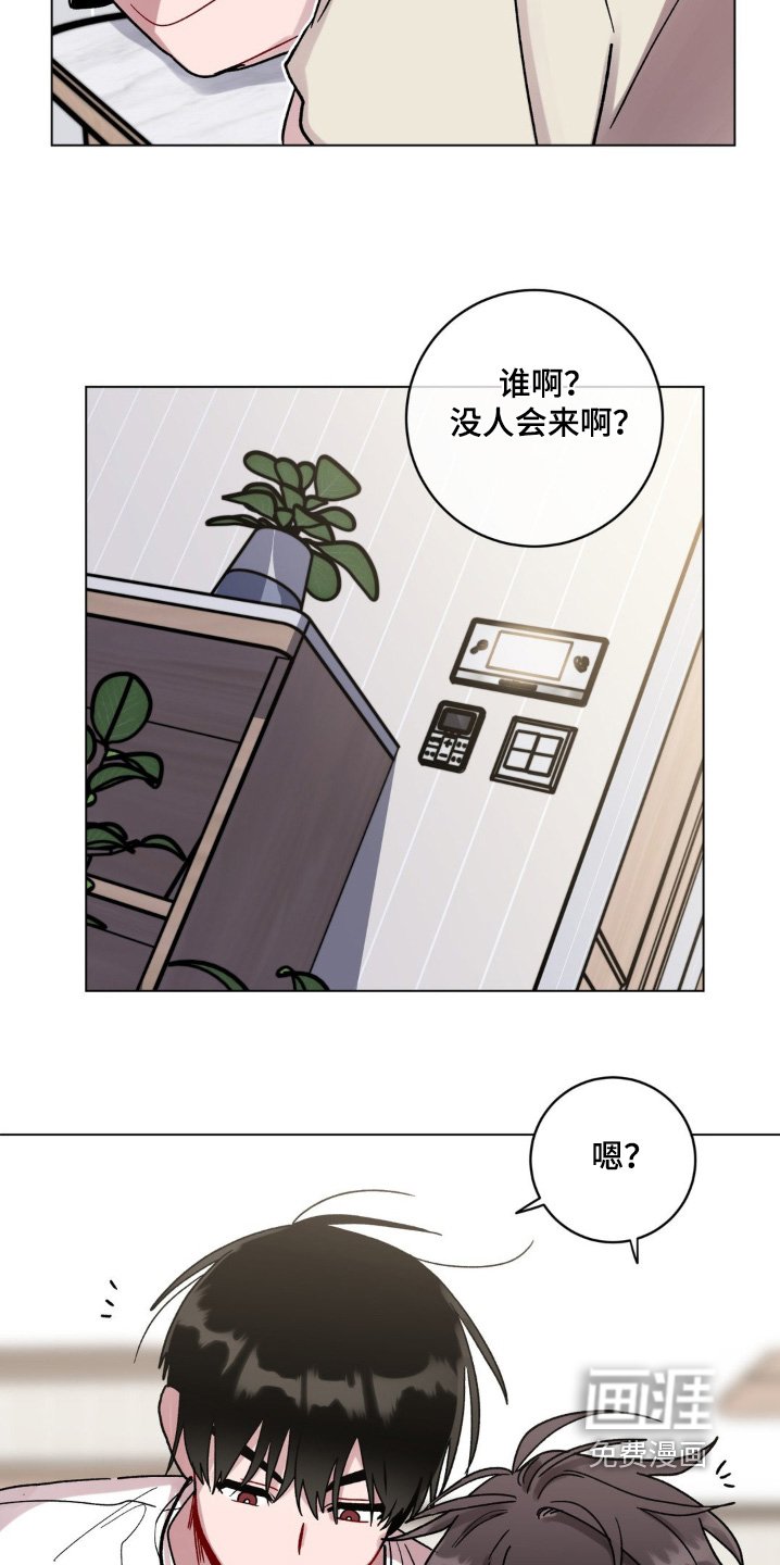 第111章：姐姐