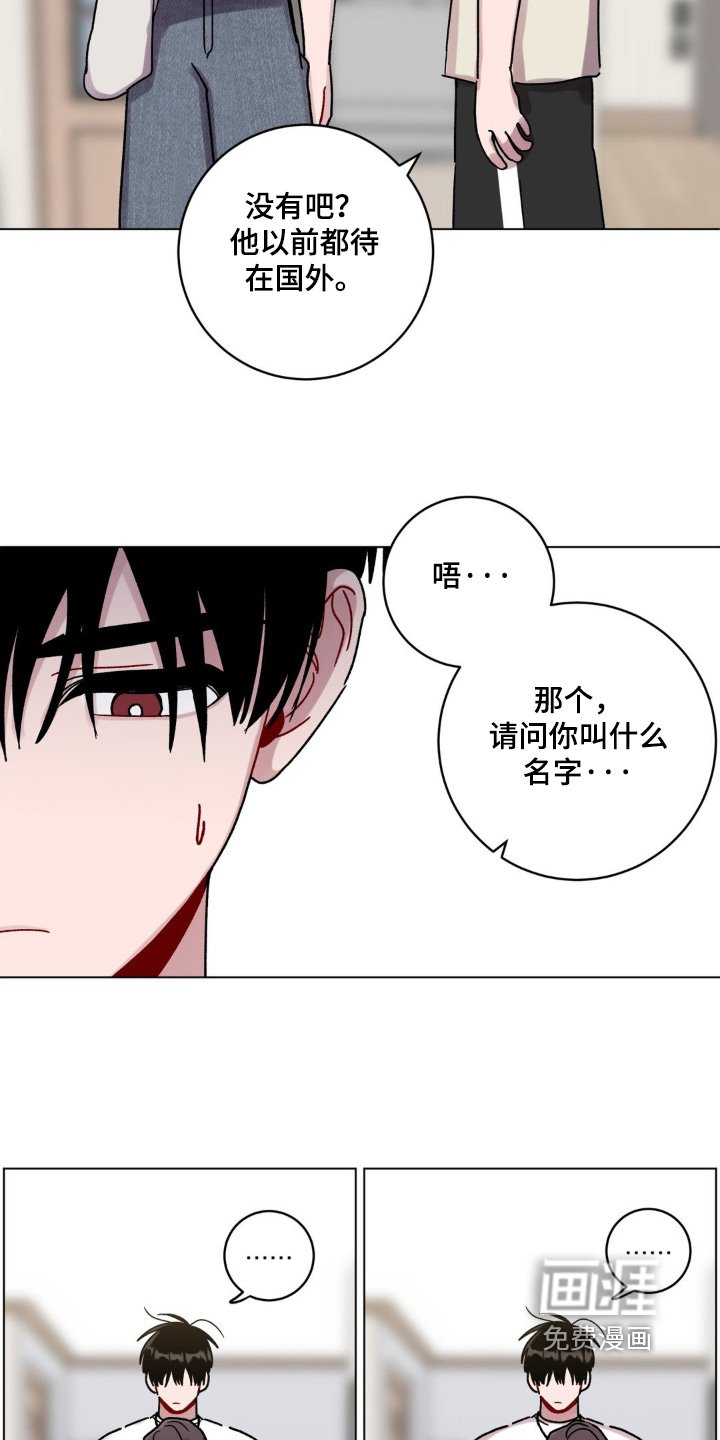 第112章：通知单