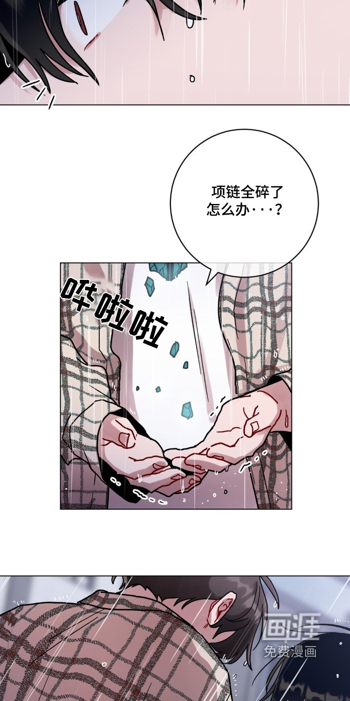 第116章：碎裂