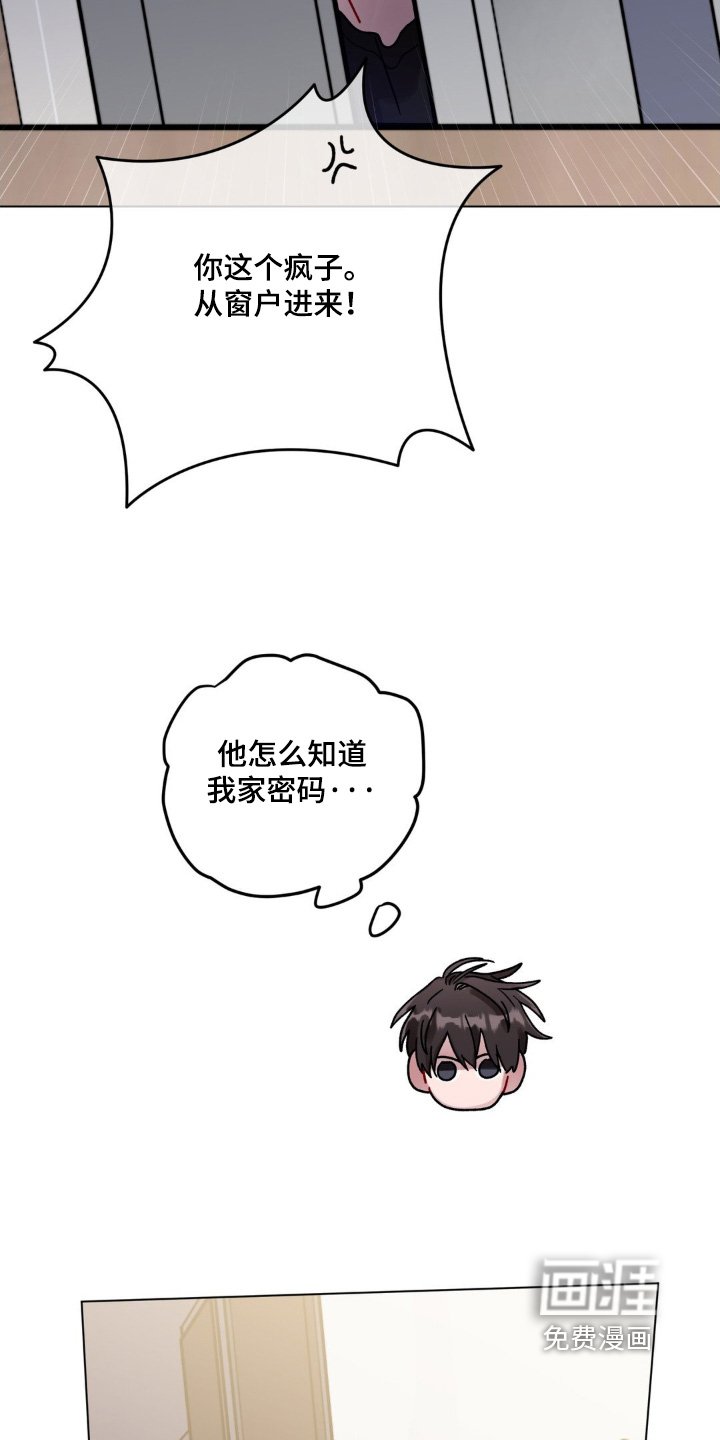 第117章：绝对不行