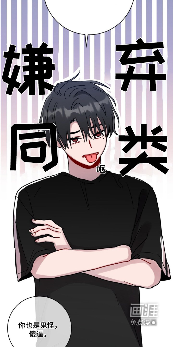 第117章：绝对不行