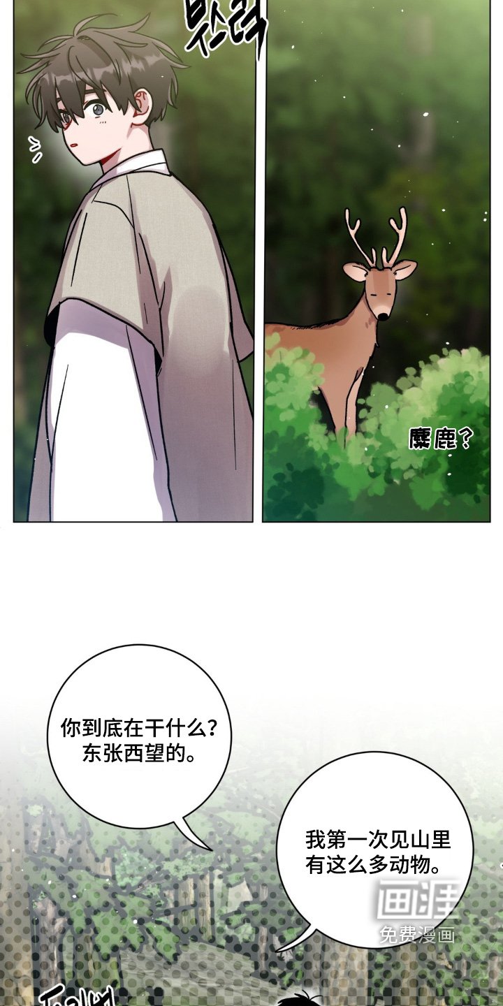 第132章：有点奇怪