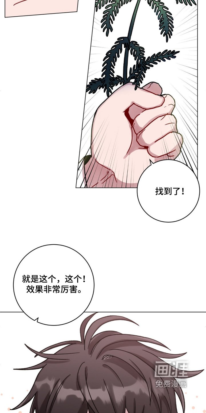 第133章：找到了