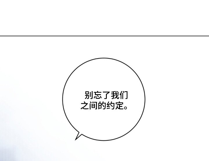 第134章：之前的约定