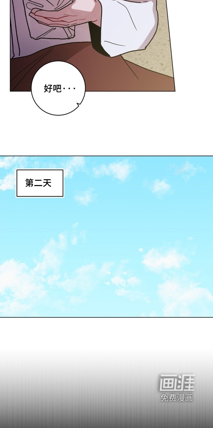 第142章：转交