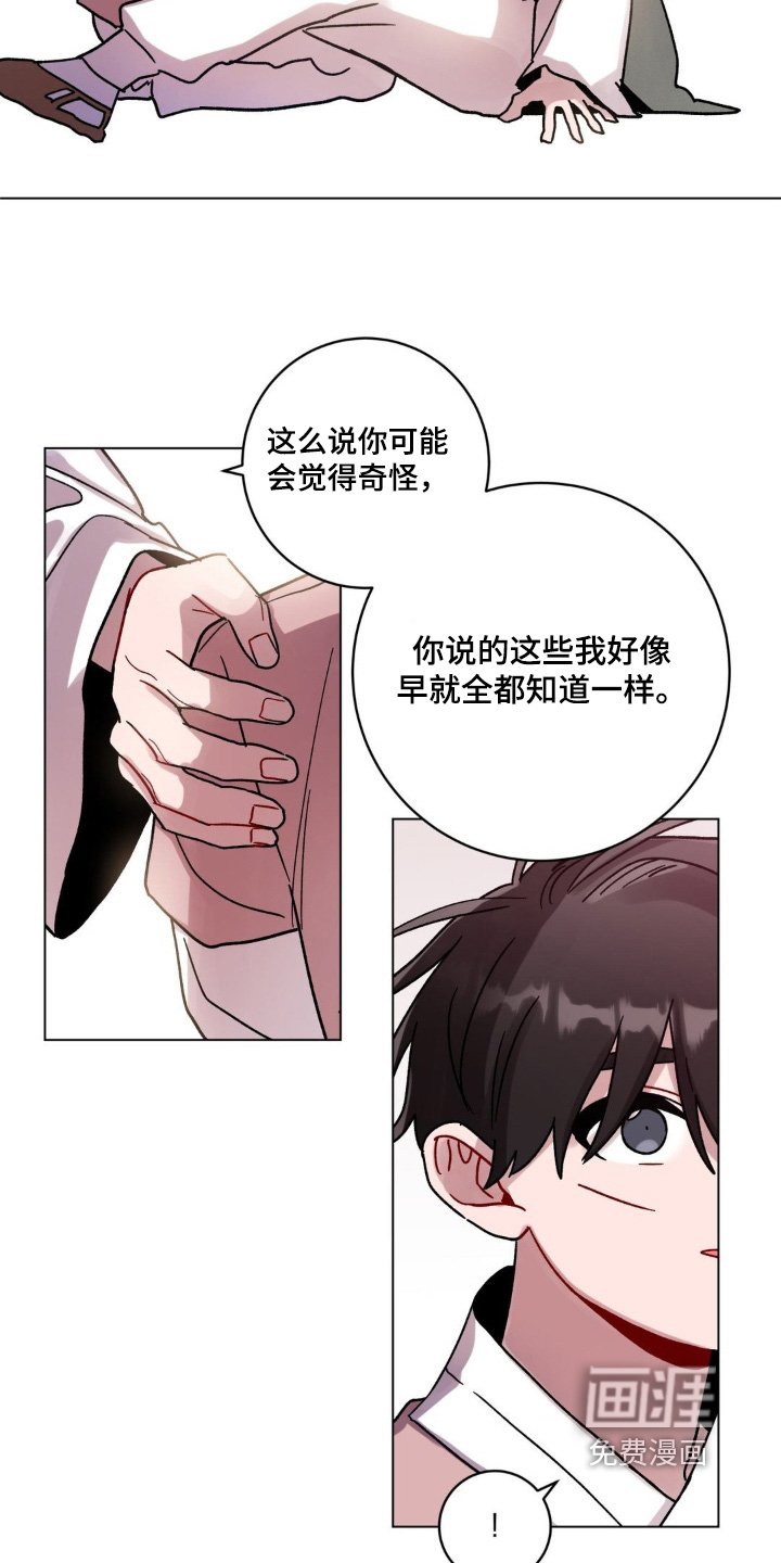 第144章：很难相信