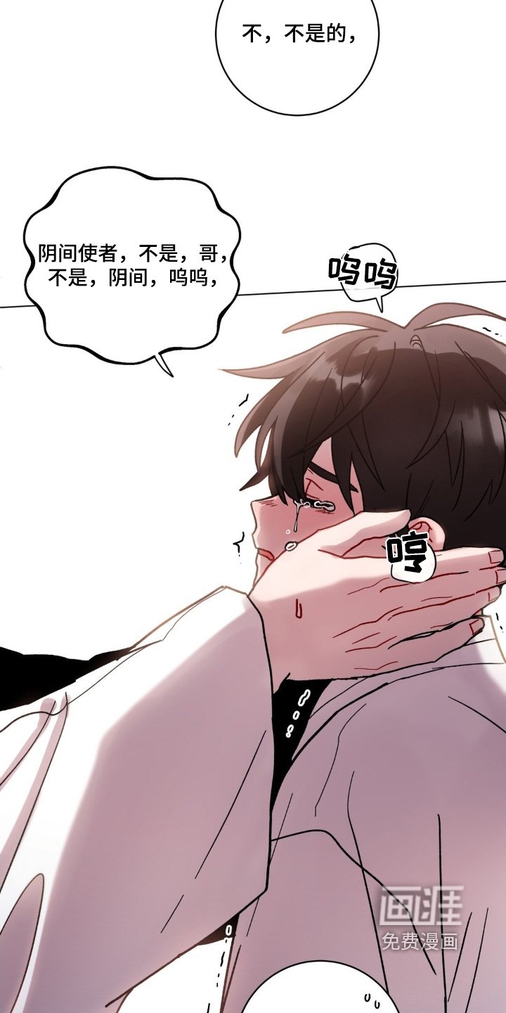 第147章：胡思乱想