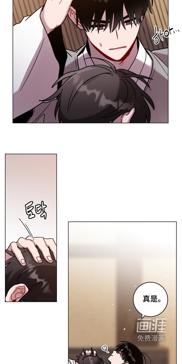 第147章：胡思乱想