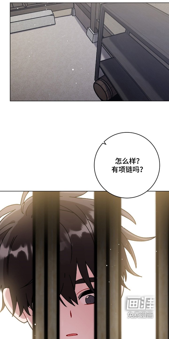 第156章：对我的过去