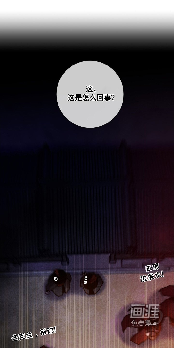 第164章：你们快走