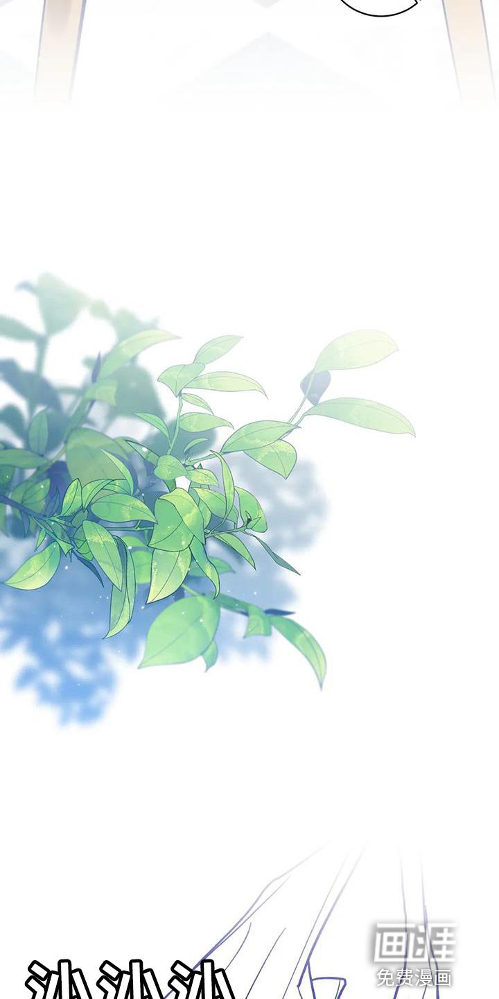 第27章：有必要试一试