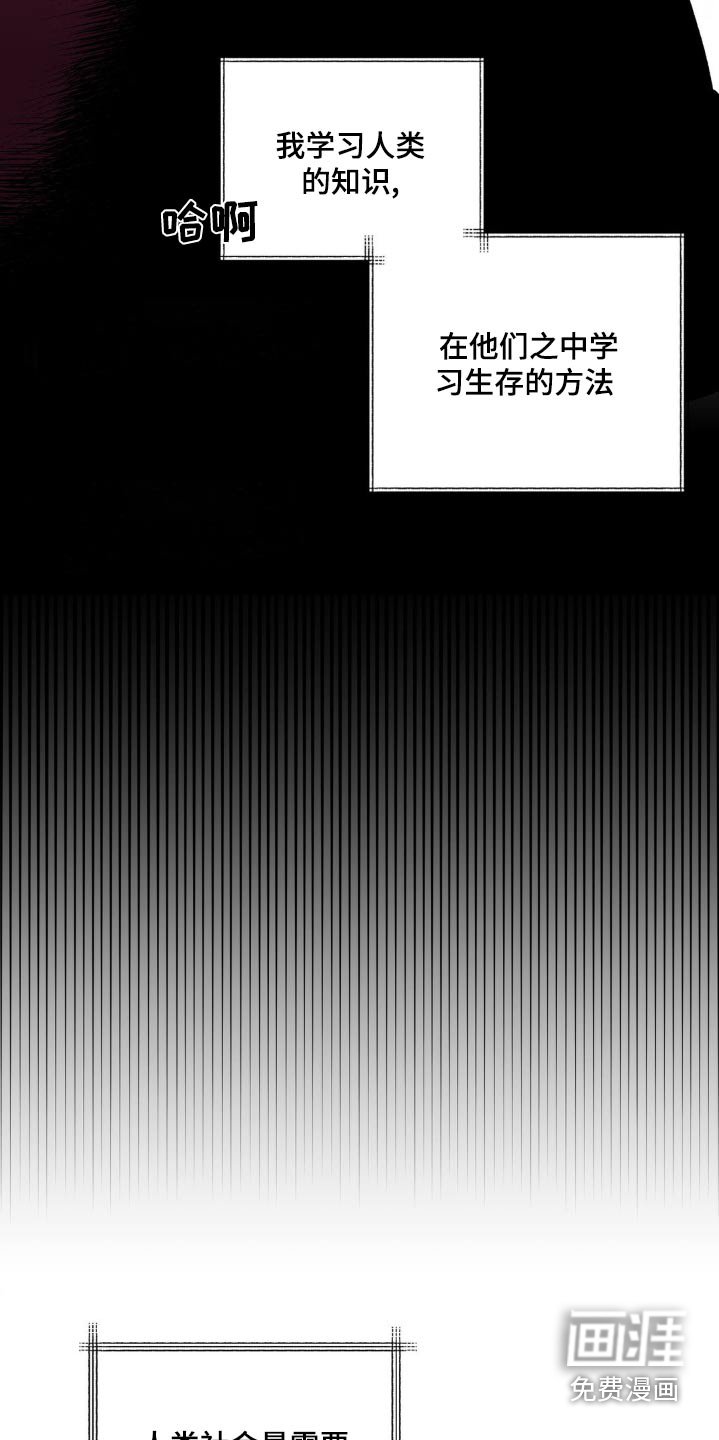 第53章：喝茶