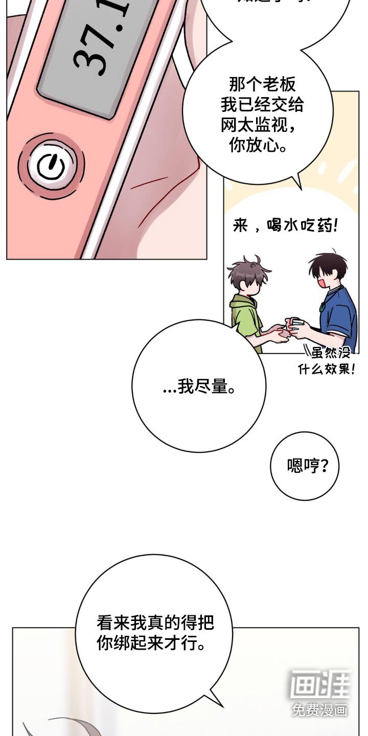 第55章：大蒜