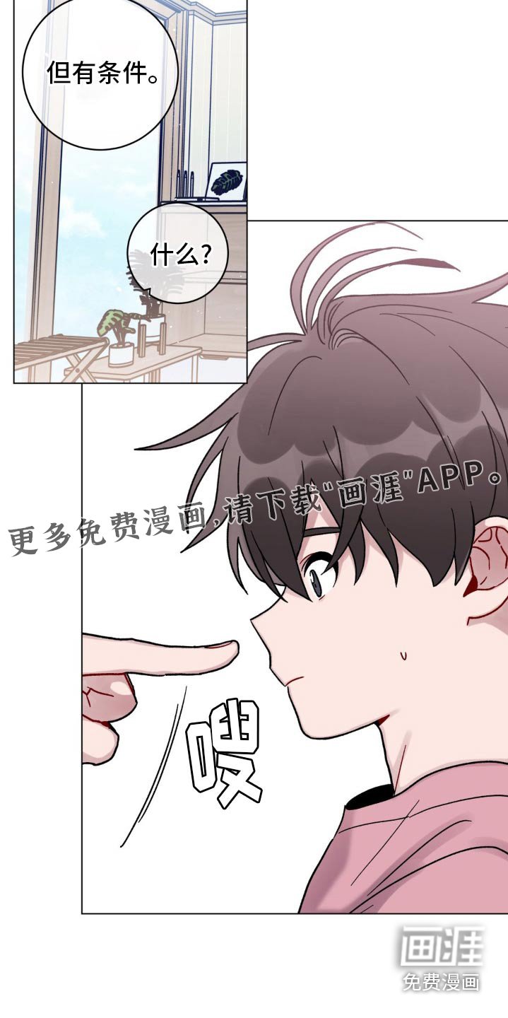 第57章：出去转转