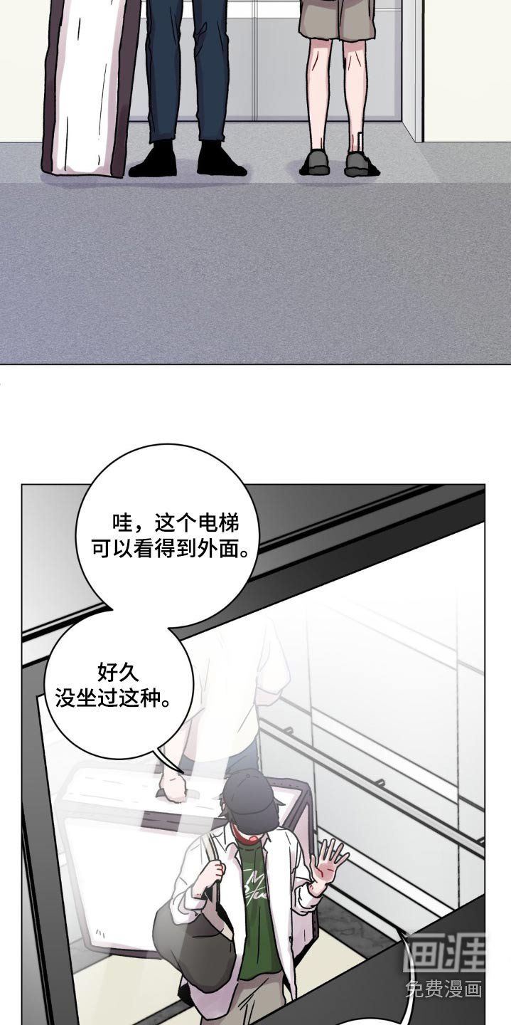 第82章：这么高