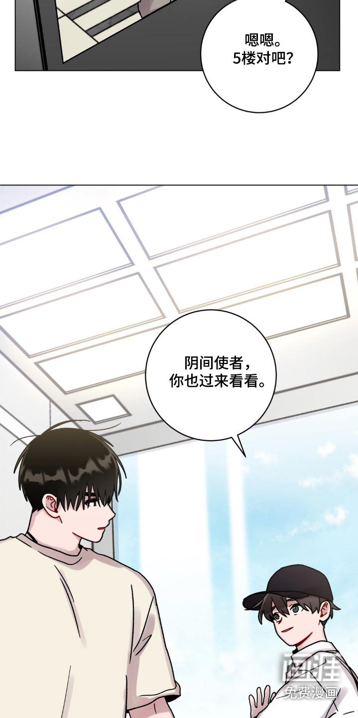 第82章：这么高