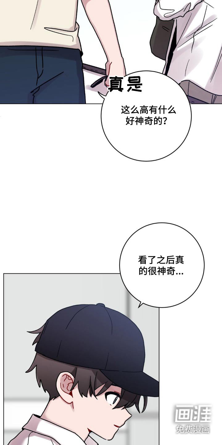 第82章：这么高