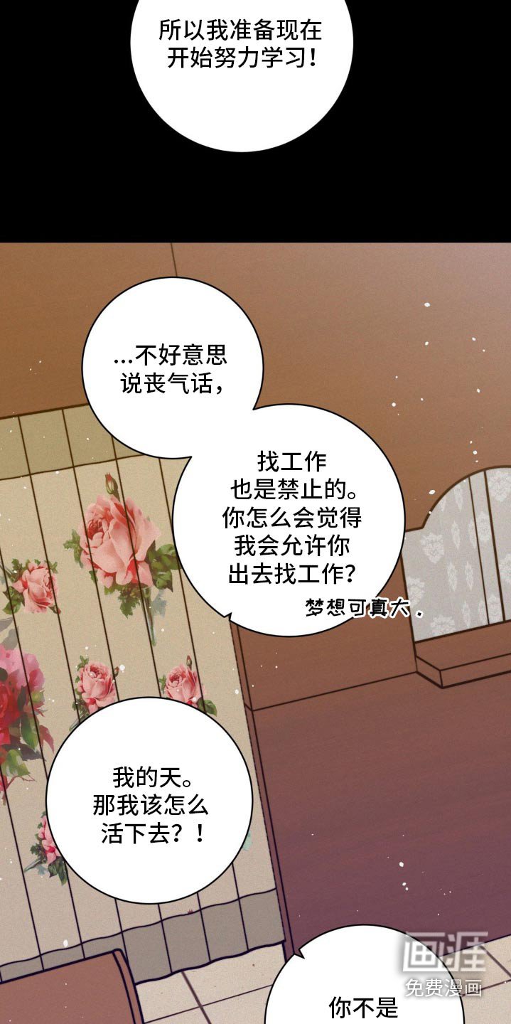 第85章：多多关照