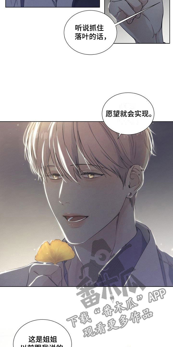 第10章：你的愿望