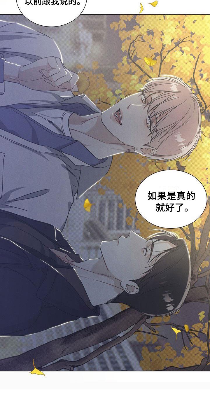 第10章：你的愿望