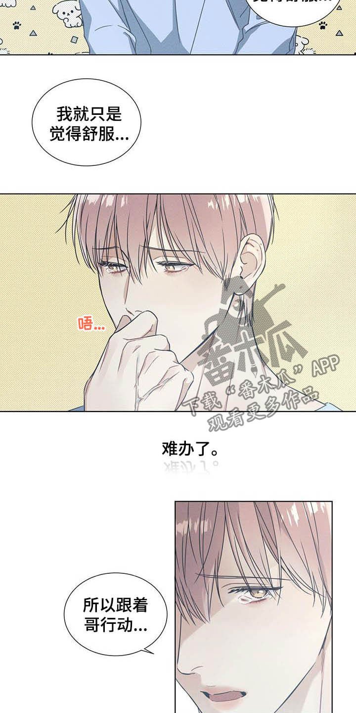 第14章：我会负责的