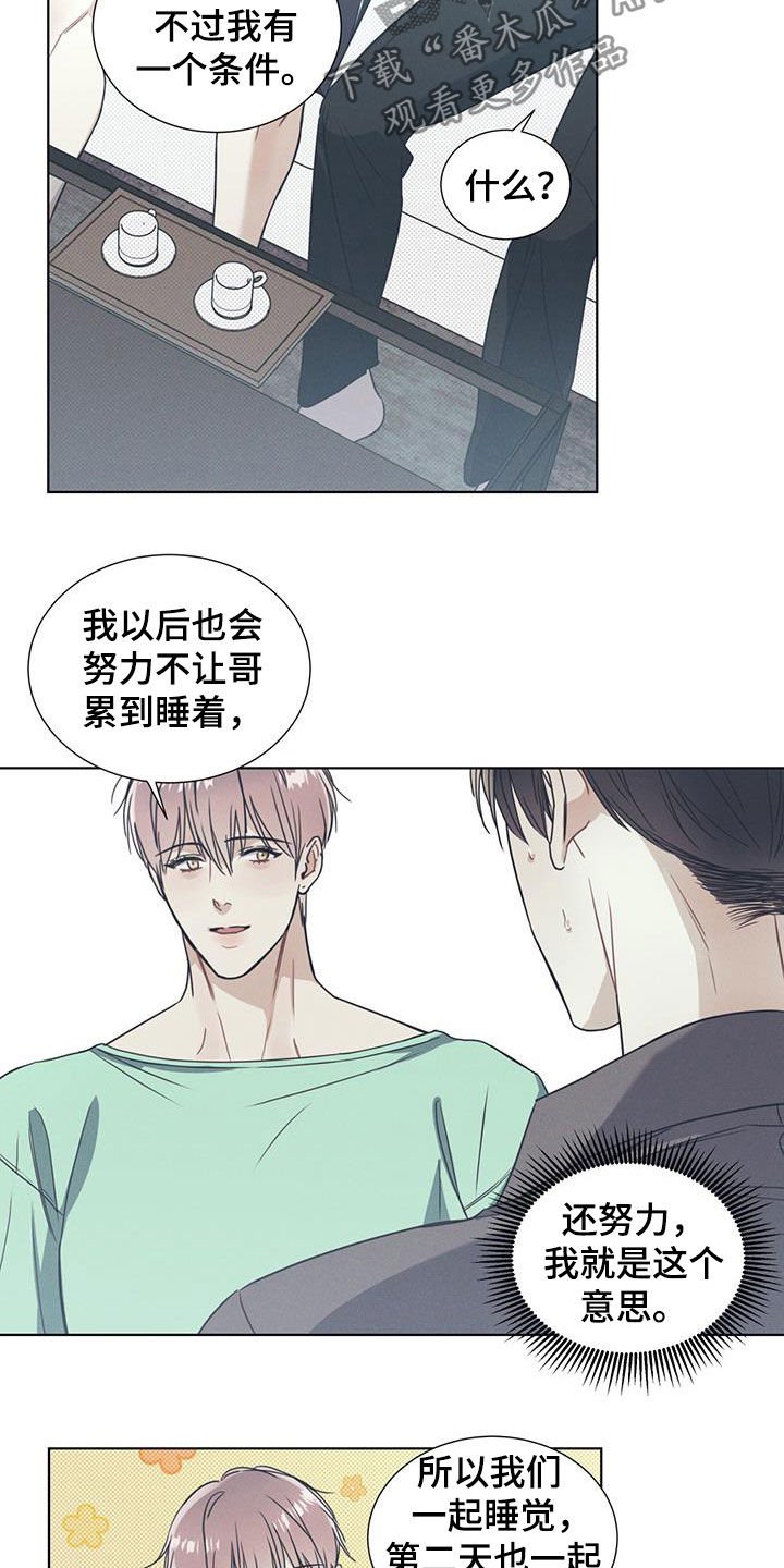 第16章：协商