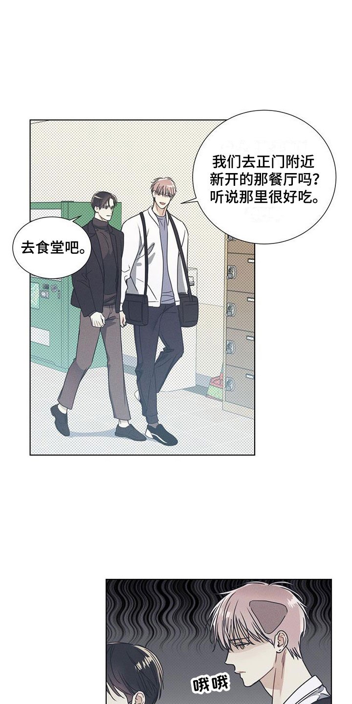 第3章：无法抗拒的脸