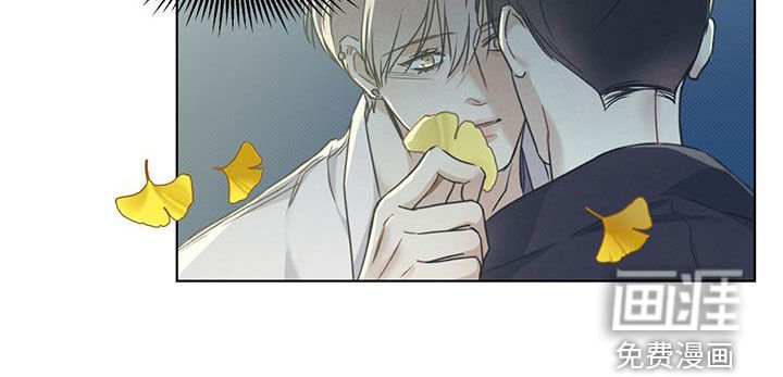 第43章：向枫叶许愿