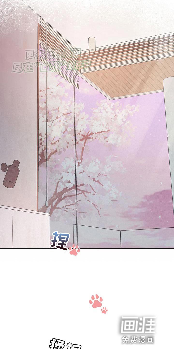 第86章：【第二季】只集中于我
