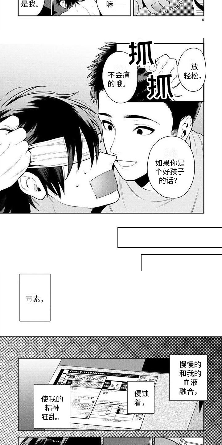 第1章：表和里