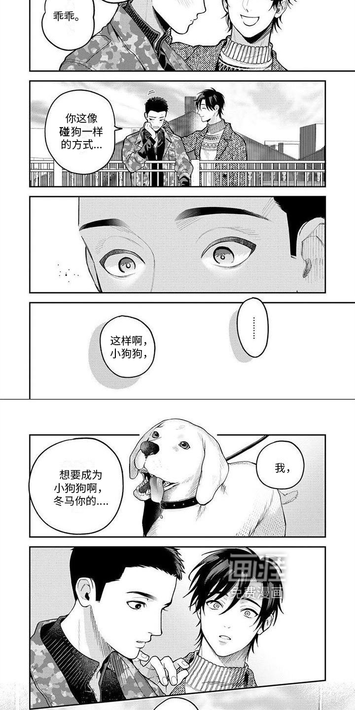 第15章：想法