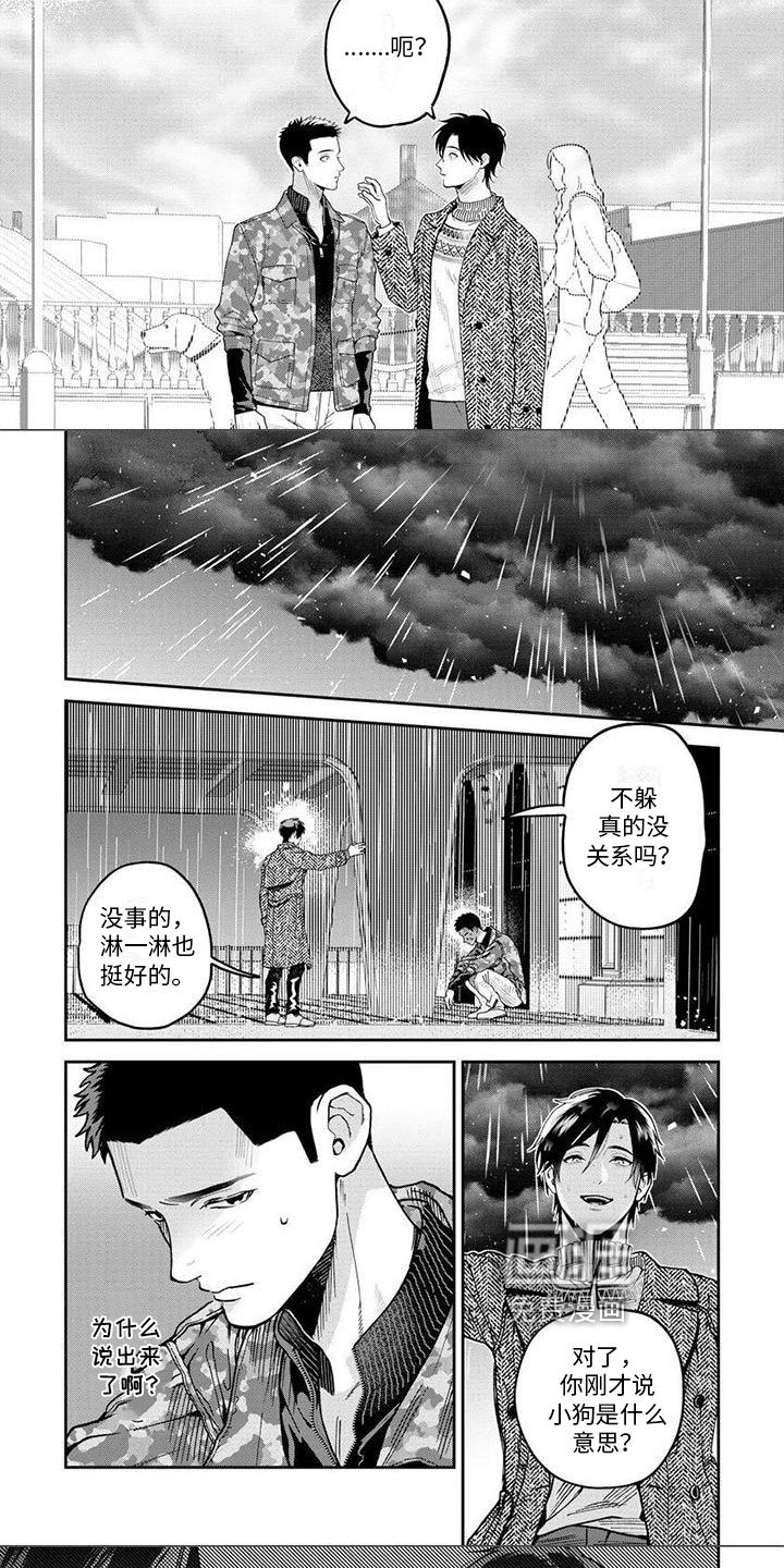 第15章：想法
