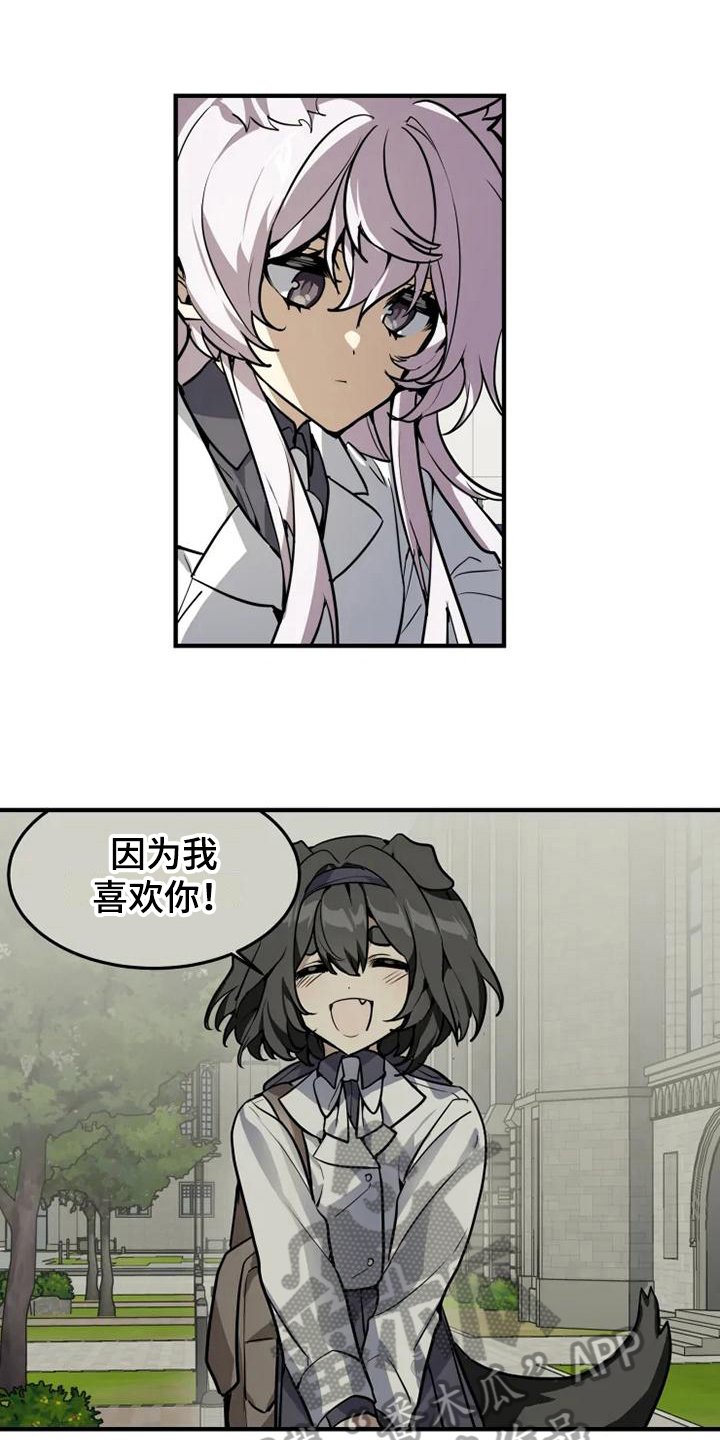 第11章：忧虑