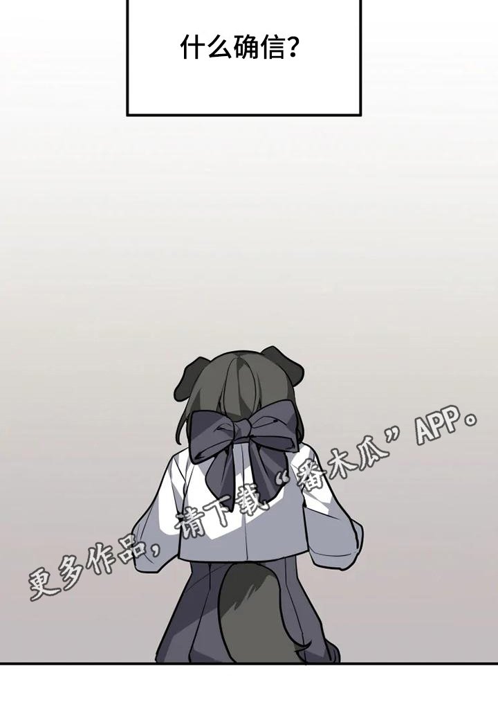 第13章：确信