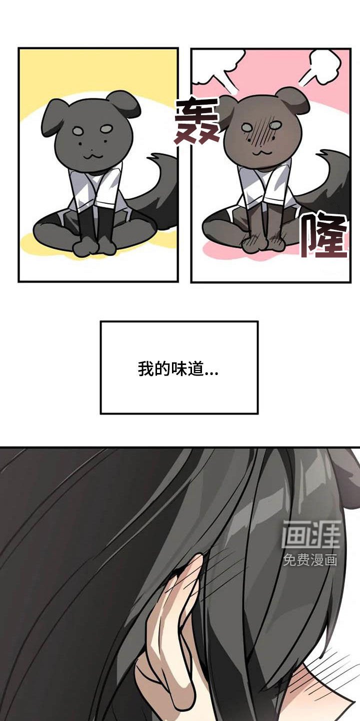 第17章：味道