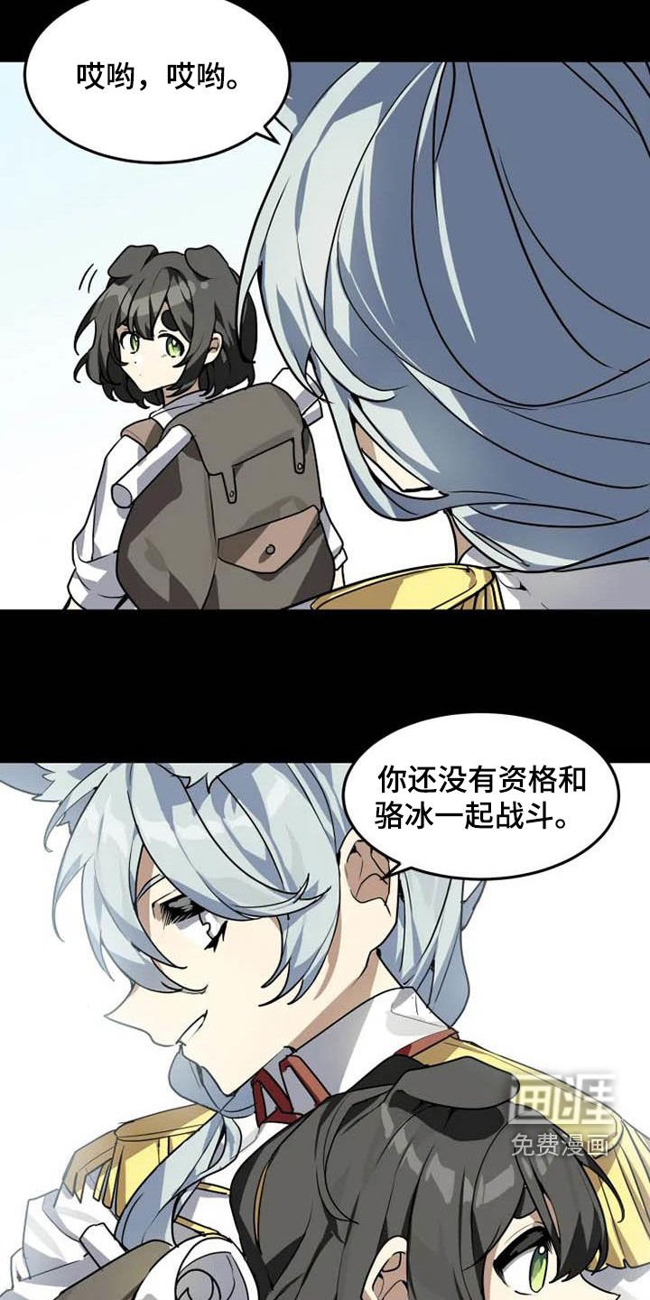 第19章：分析