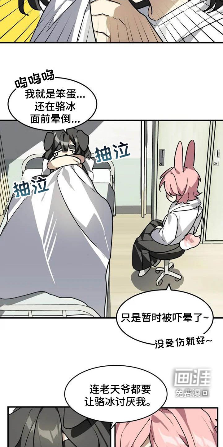 第19章：分析