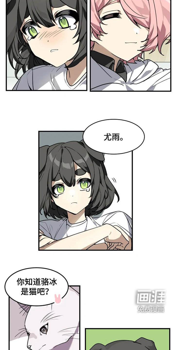 第19章：分析