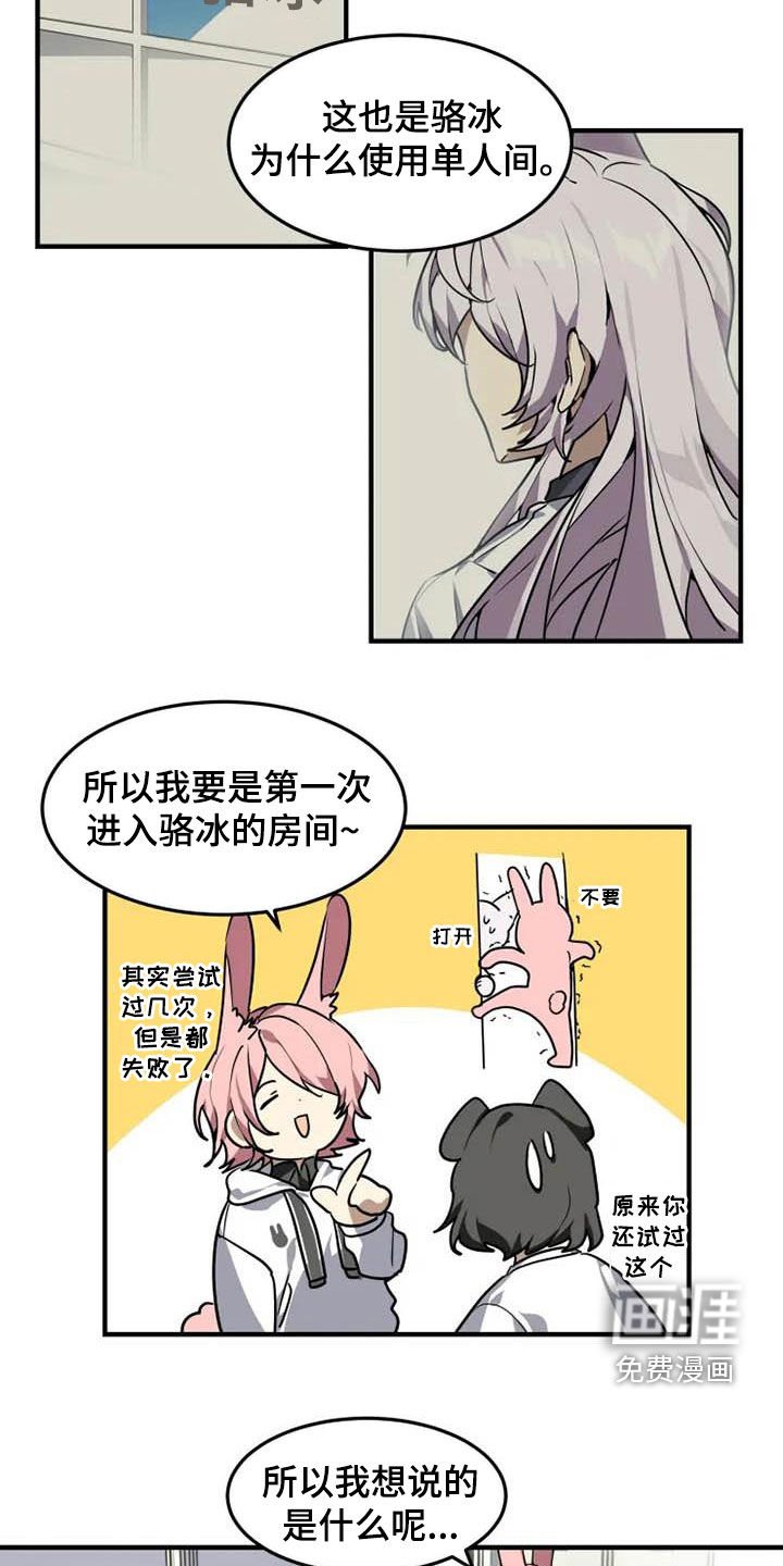 第19章：分析