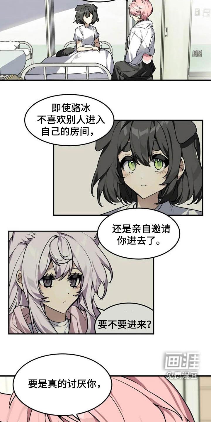 第19章：分析